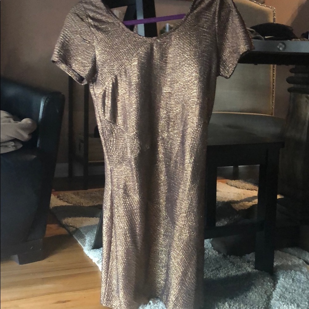 Free people mauve metallic dress size S